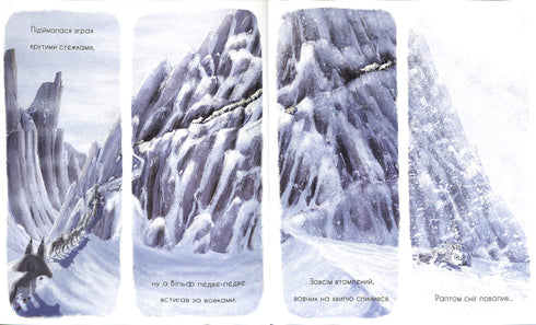 Il lupo sta cercando una via per il branco